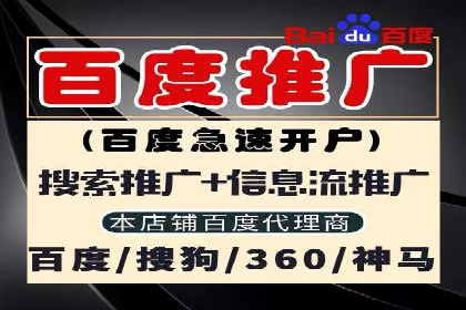 某某sem代运营公司如何帮助企业提升广告ROI